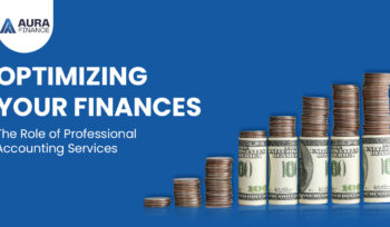 The Role of Professional Accounting Services